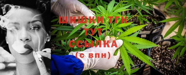 эйфоретик Арсеньев