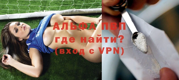 эйфоретик Арсеньев