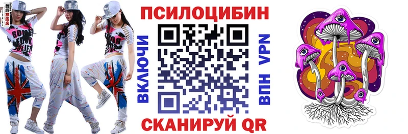 Купить закладки  Нефтегорск  Псилоцибиновые грибы мухоморы 